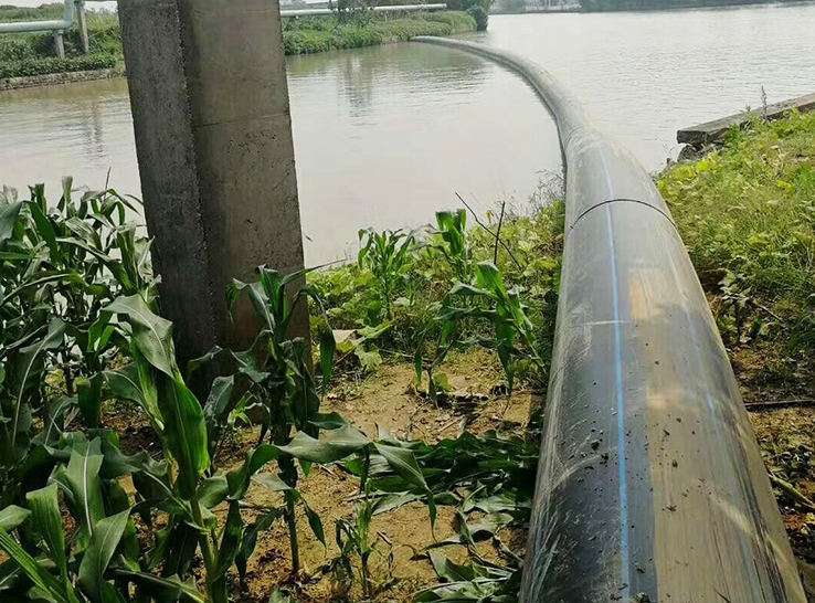 Projek Pengairan Pertanian 2022 di Shanghai